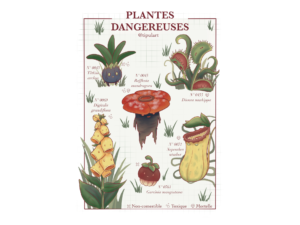 Plantes dangereuses