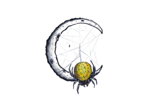 Araignée Citrouille Lune